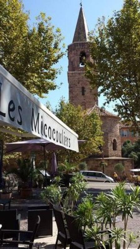 les Micocouliers (Restaurant pizzeria glacier) , 160m² - A VENDRE - 34 place paul albert fevrier,  frejus (83600)