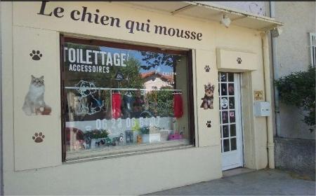 LE CHIEN QUI MOUSSE (Toilettage chiens et chats) , 25m² - A VENDRE - 57 boulevard gillibert,  MARSEILLE (13009)