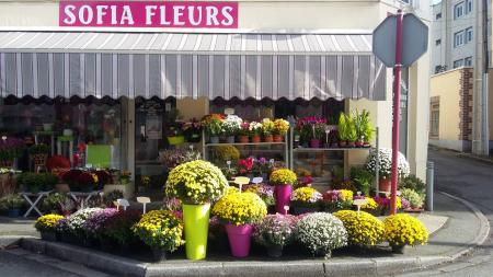 Sofia Fleurs (Commerce de fleurs) , 70m² - A VENDRE - 106, route de dieppe,  Notre Dame de Bondeville (76960)