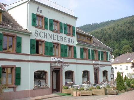 LE SCHNEEBERG ( hotel restaurant chambres d'hôtes) , 850m² - A VENDRE - 26 rue du général de gaulle, ,  WANGENBOURG ENGENTHAL (67710)