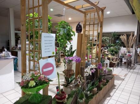 Aurore fleurs (Fleuriste) 73m² - A VENDRE - Chemin départemental 19 - Lignan-sur-Orb (34490)
