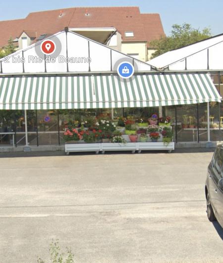 Plant center fleurs (Jardinerie ) , 3600m² - A VENDRE - 2bis route de beaune ,  Marsannay la Côte  (21160)