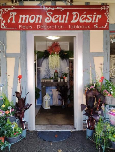 A MON SEUL DÉSIR (FLEURISTE) , 110m² - A VENDRE - 58, GRANDE RUE,  VENDEUVRE SUR BARCE (10140)