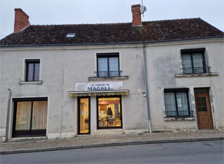 LE PEIGNE DE MAGALI (SALON DE COIFFURE) , 239m² - A VENDRE - 27 RUE DE VERDUN,  PALLUAU SUR INDRE (36500)