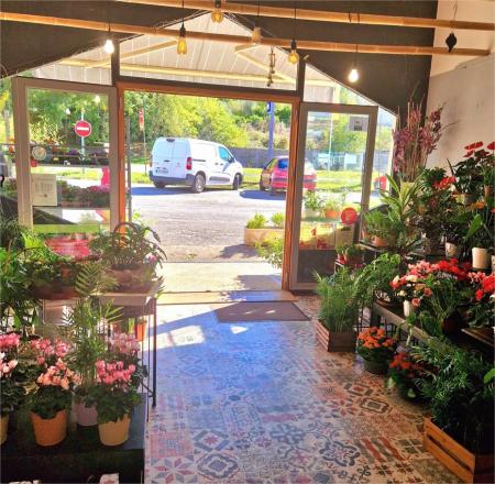 FLEURS DU QUERCY (FLEURISTE) , 80m² - A VENDRE - 1706 AVENUE DE SAINT JEAN,  MONTCUQ EN QUERCY BLANC (46800)