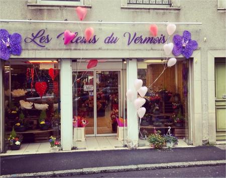 LES FLEURS DU VERMOIS (FLEURISTE) , 280m² - A VENDRE - 44 RUE ANATOLE FRANCE,  SAINT-NICOLAS-DE-PORT (54210)