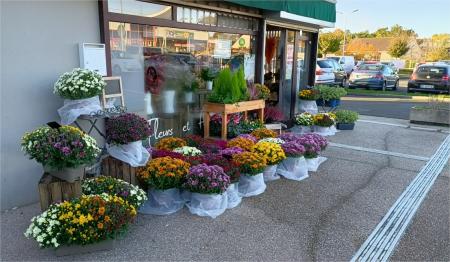 FLEURS  ET FLEURETTES (FLEURISTE) , 45m² - A VENDRE - 25 RUE PASTEUR,  BRIE COMTE ROBERT (77310)