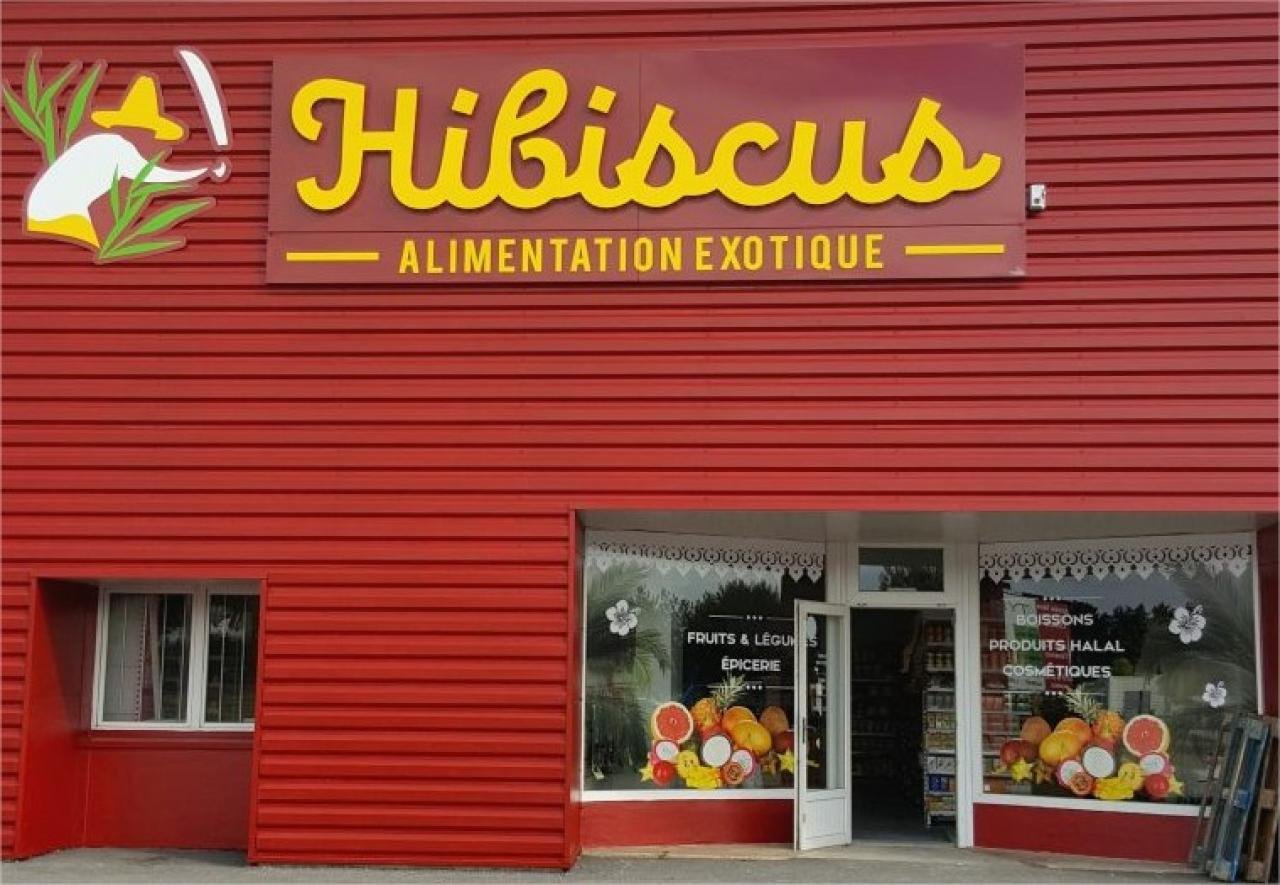 Hibiscus 