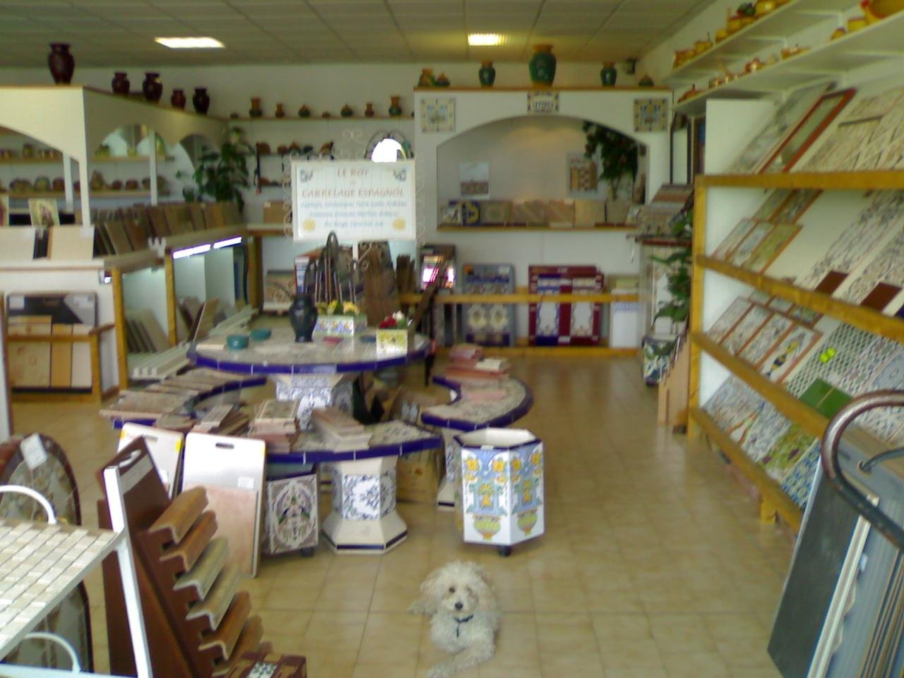 LE ROY DU CARRELAGE ESPAGNOL