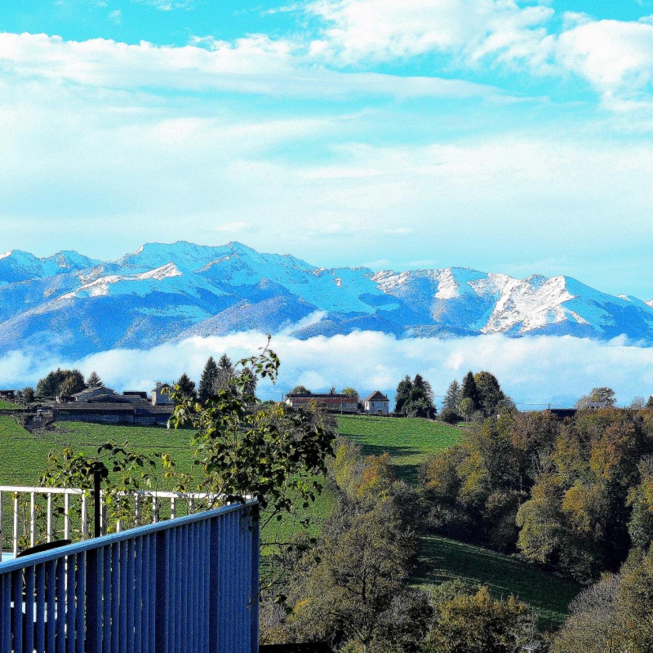 LA ROSERAIE DE SAINT VINCENT