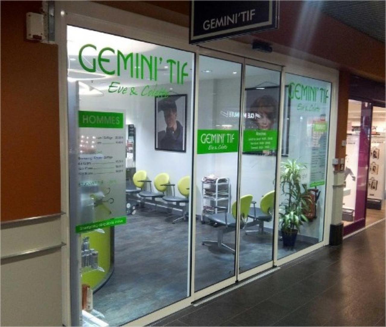 GEMINI TIF GEMINITIF