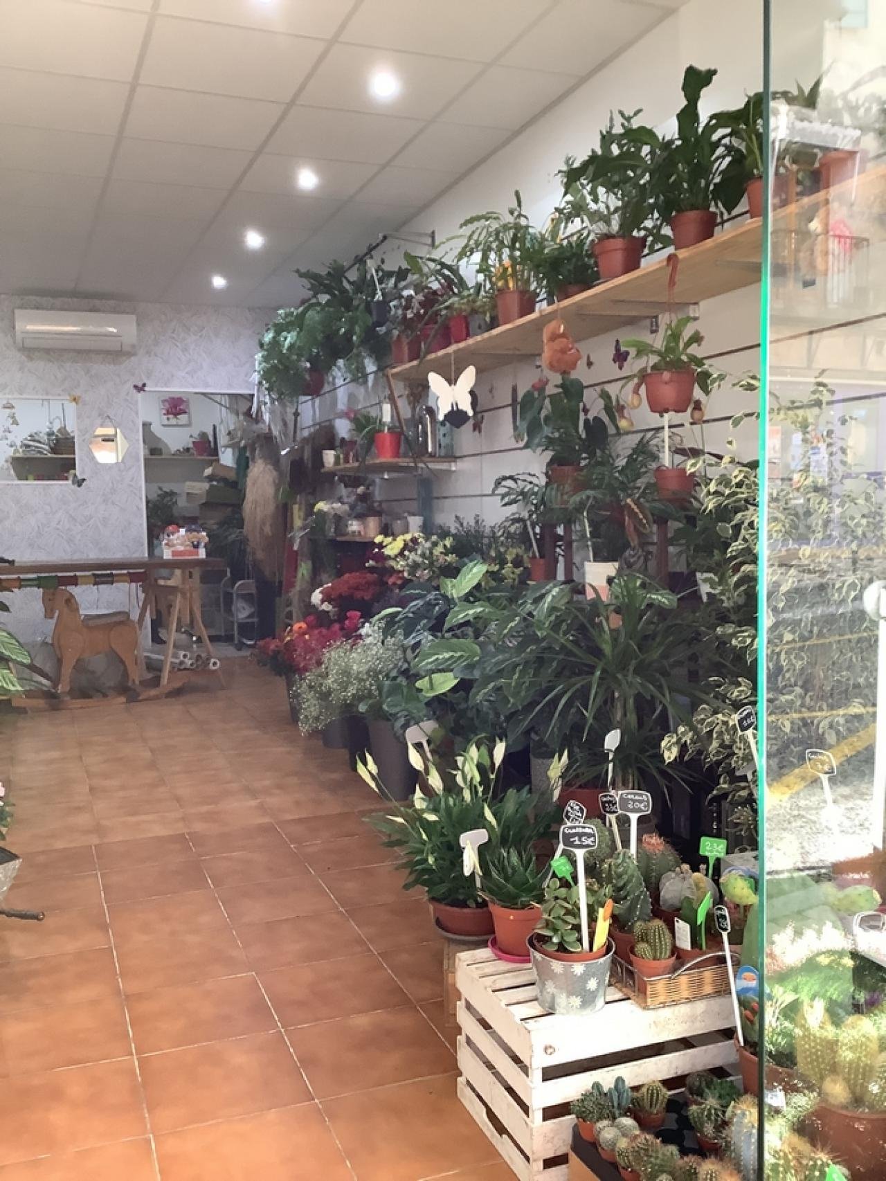 LES FLEURS DE MARIE LOU